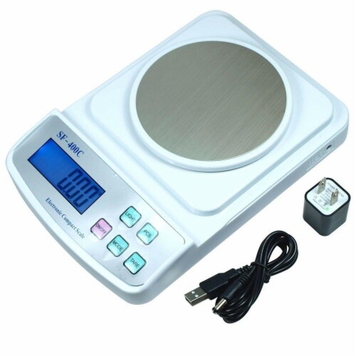 Digital Scale 500g x 0.01g for Precision Weighing & Counting - USB Wall  Adapter NEW, 1 unit - Baker's