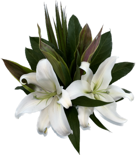 4 Seasons Growers Simply Lilly's Perspective: front