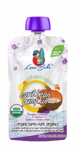 Loco Bebe™ Organic Caribbean Pumpkin Baby Food Pouches Perspective: front