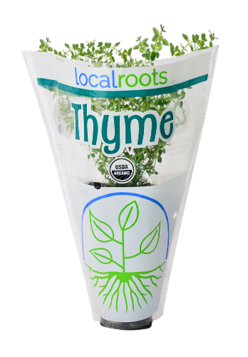 Local Roots Potted Organic Thyme Perspective: front