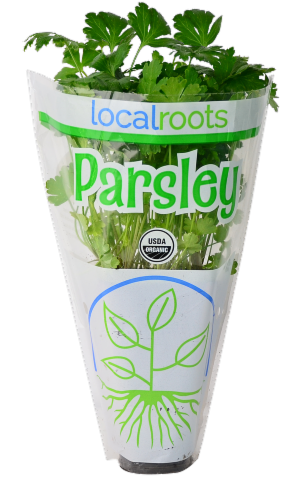 Local Roots Potted Organic Parsley Perspective: front