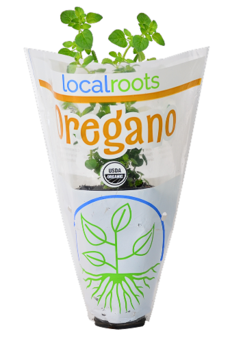 Local Roots Potted Organic Oregano Perspective: front