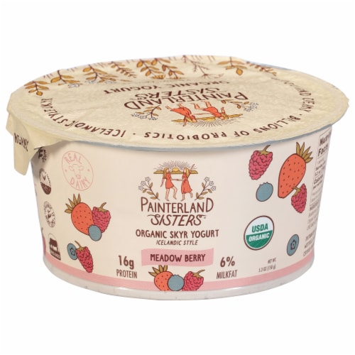 Painterland Sisters™ Meadow Berry 6% Milkfat Organic Skyr Yogurt Cup Perspective: front