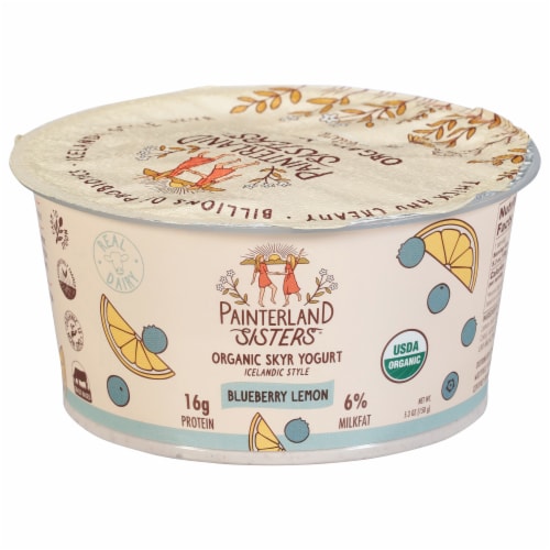 Painterland Sisters™ Blueberry-Lemon Organic Skyr Yogurt Cup Perspective: front