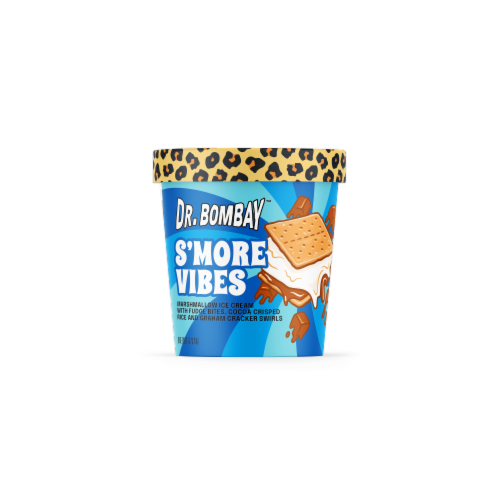 Dr. Bombay™ S’more Vibes Ice Cream Pint Perspective: front