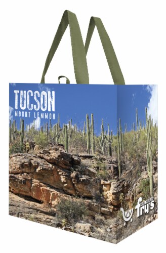 Earthwise Fry's Mt Lemmon Storage Bag Perspective: front