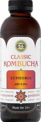 GT's Living Foods Euphoria Classic Kombucha Perspective: front