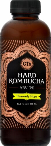 GT's Living Foods Organic & Raw Heavenly Hops Kombucha Perspective: front