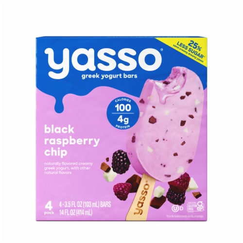 Yasso Black Raspberry Chip Frozen Greek Yogurt Bars Perspective: front