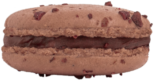 Duverger Boutique Chocolate French Macaron Perspective: front