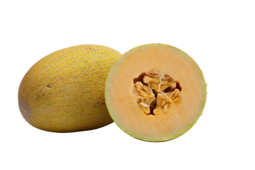Honey Kiss Melon Perspective: front