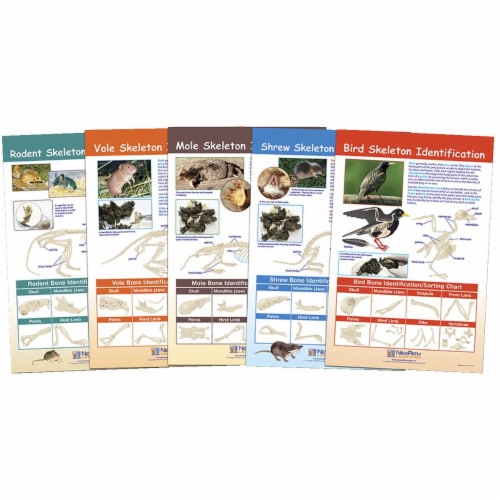 newpath-learning-1567132-bulletin-board-chart-prey-identification-set-of-5-grade-5-8-1