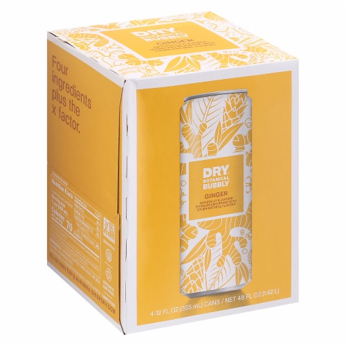 DRY® Botanical Bubbly Ginger Soda Perspective: front