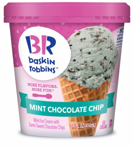 Baskin Robbins Mint Chocolate Chip Ice Cream Perspective: front
