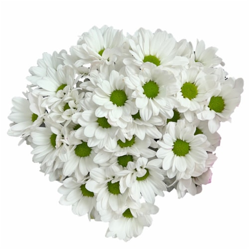Poms Bouquets Perspective: front