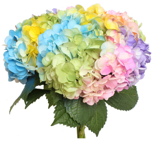 Easter Hydrangea Bunches Perspective: front