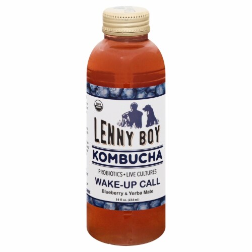 Lenny Boy Wake Up Call Kombucha Perspective: front