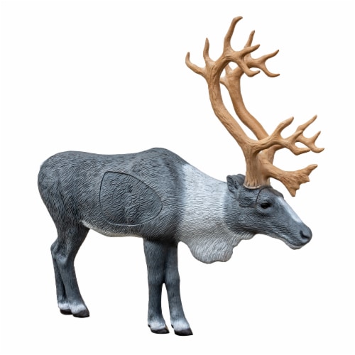 Rinehart Targets 45 Inch Realistic Woodland Caribou 3D Foam Body Crossbow  Figure, 1 Piece - Kroger