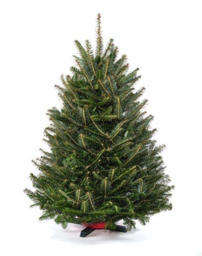 Tabletop Holiday Tree-36" Tall Perspective: front