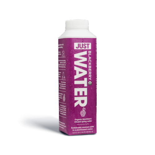 JUST Water Blackberry Infused Organic Fruit Flavored Spring Water 24 Pack (16.9 fl oz) Perspective: front