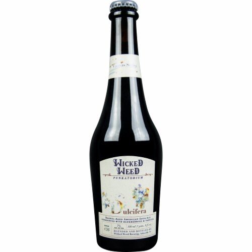Wicked Weed Dulcifera Blueberries & Vanilla Sour Aged Ale Perspective: front
