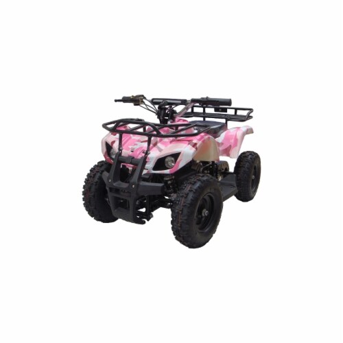 Mototec 24 volt 2025 mini quad