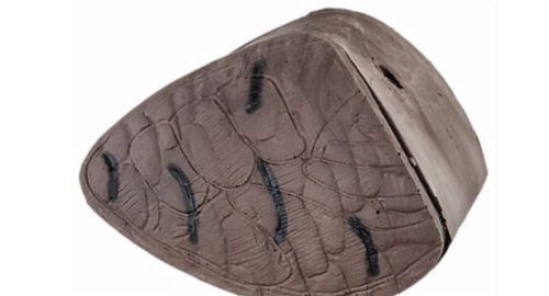 (INSERT ONLY)Rinehart Signature/Competition Series Tom Turkey Insert Perspective: front