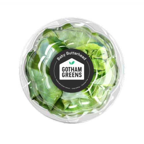 Gotham Greens Baby Butterhead Lettuce Perspective: front