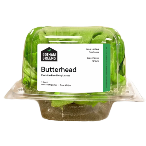 Gotham Greens® Butterhead Living Lettuce Perspective: front