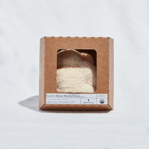 Smallhold Lion's Mane Organic Mushroom Perspective: front