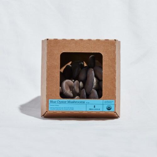 Smallhold Blue Oyster Mushrooms Perspective: front