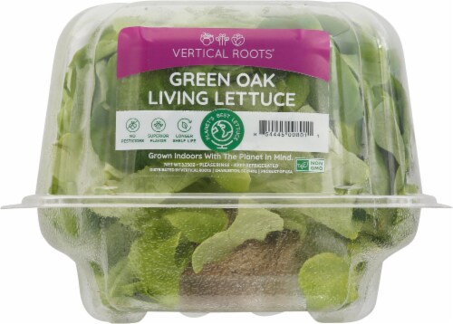 Vertical Roots® Green Oak Living Lettuce Perspective: front