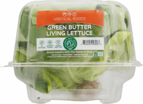 Vertical Roots Green Butter Living Lettuce Perspective: front