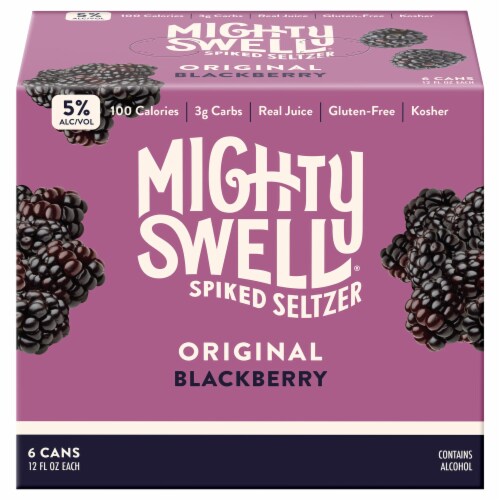 Mighty Swell Spiked Seltzer Blackberry 6pk Perspective: front