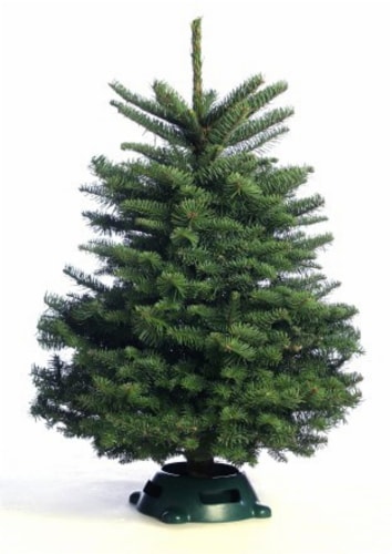 Noble Fir Tabletop Christmas Tree 2 - 3 ft Perspective: front