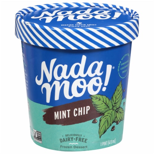 Nadamoo!® Dairy-Free Lotta Mint Chip Frozen Dessert Pint Perspective: front
