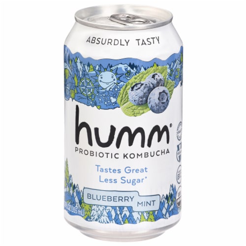 Humm® Blueberry Mint Probiotic Kombucha Single Can Perspective: front