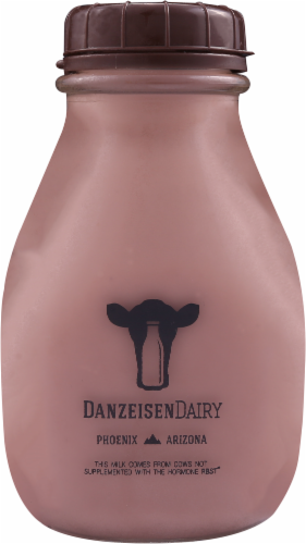 Danzeisen Dairy Reduced Fat 2% Chocolate Milk Perspective: front