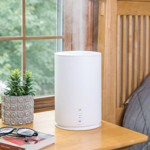 SpaRoom MegaMist Essential Oil Diffuser and Humidifier 1 ct