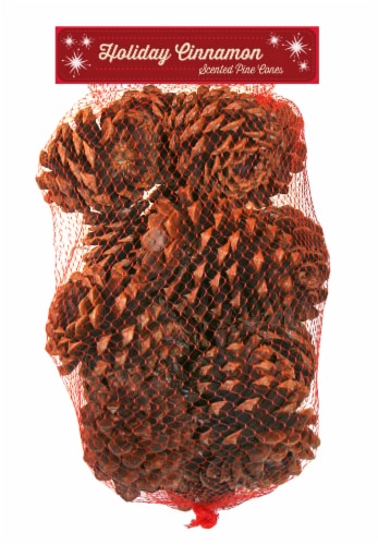 Holiday Cinnamon Scented Pine Cones Holiday Décor - 10 oz Perspective: front