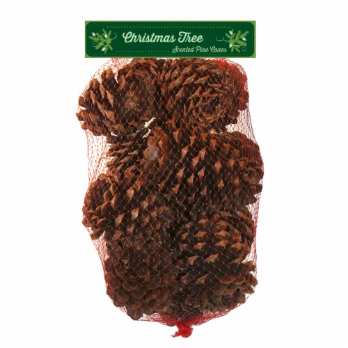 Enviro-Log Christmas Tree Scented Pine Cones Holiday Décor - 10 oz Perspective: front