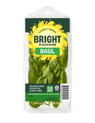 Bright Farms Basil Perspective: front