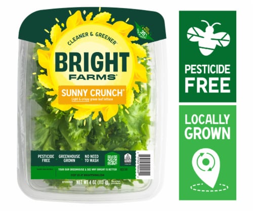 BrightFarms® Sunny Crunch® Green Leaf Lettuce