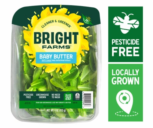 BrightFarms® Baby Butter Lettuce Perspective: front