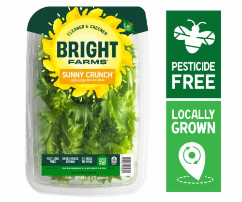 BrightFarms® Sunny Crunch® Green Leaf Lettuce Family Pack Perspective: front