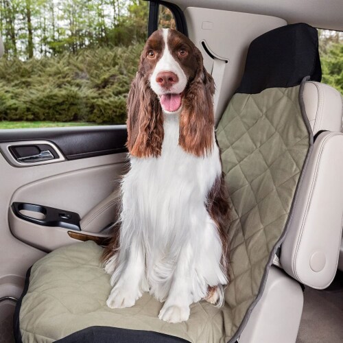 Petsafe car seat hot sale