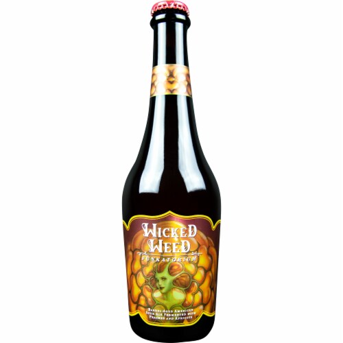 Wicked Weed Brewing Peach and Apricot American Sour Ale Perspective: front