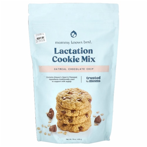 Oatmeal Chocolate Chip Lactation Cookie Mix, 16 oz Perspective: front
