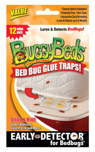BuggyBeds Glue Trap 12 pk