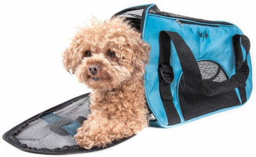 Airline Approved Folding Zippered Sporty Mesh Pet Carrier Blue Medium